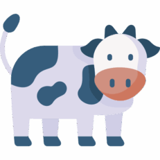 Vacuno