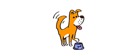 Alimento Barf Chile - Dieta BARF Natural para Perros