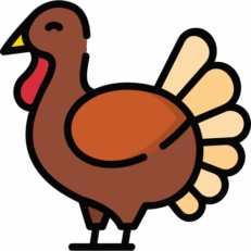 Pavo