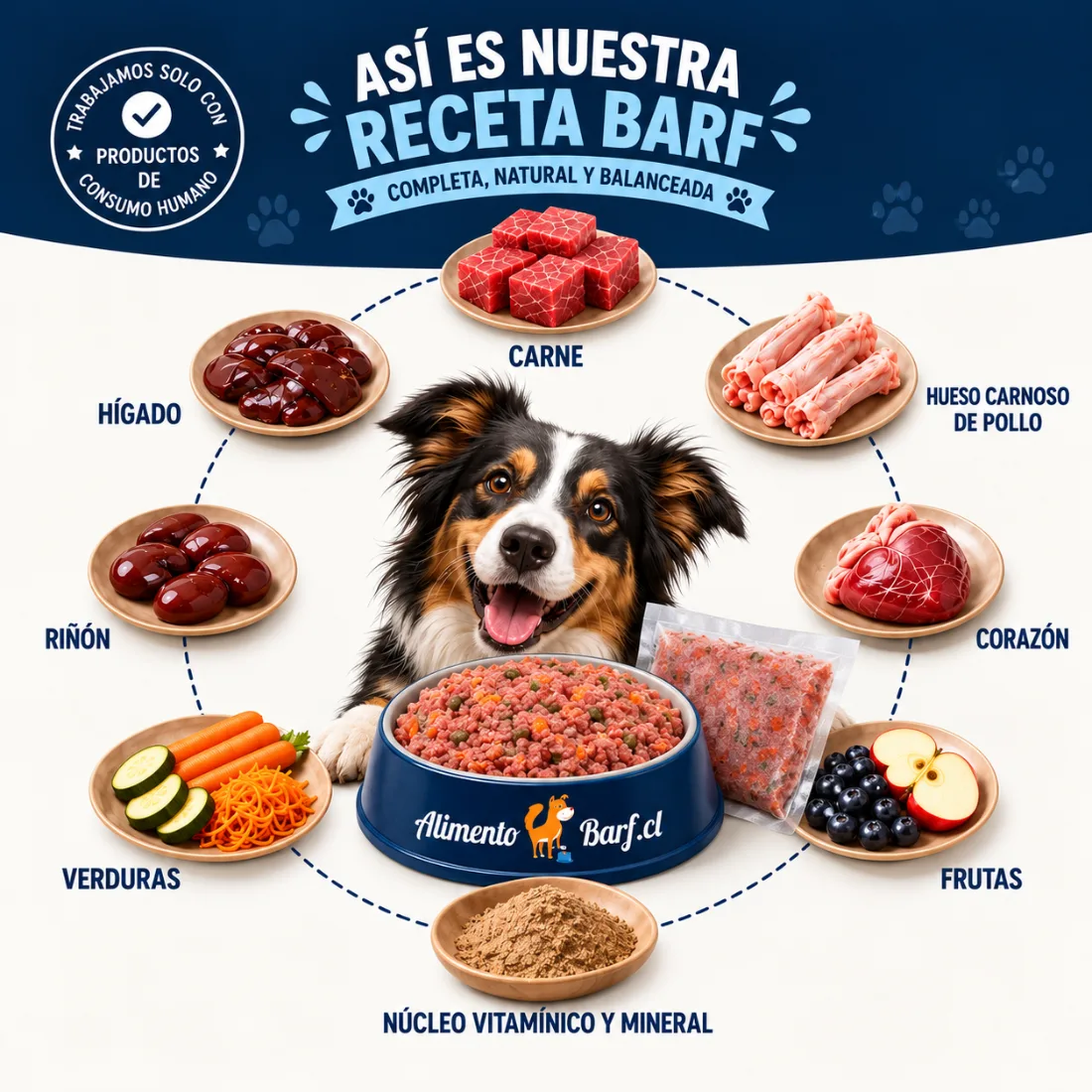 Receta BARF de AlimentoBARF: carne, hígado, corazón, riñón, hueso carnoso de pollo, verduras, frutas y núcleo vitamínico y mineral alrededor de un perro con su plato
